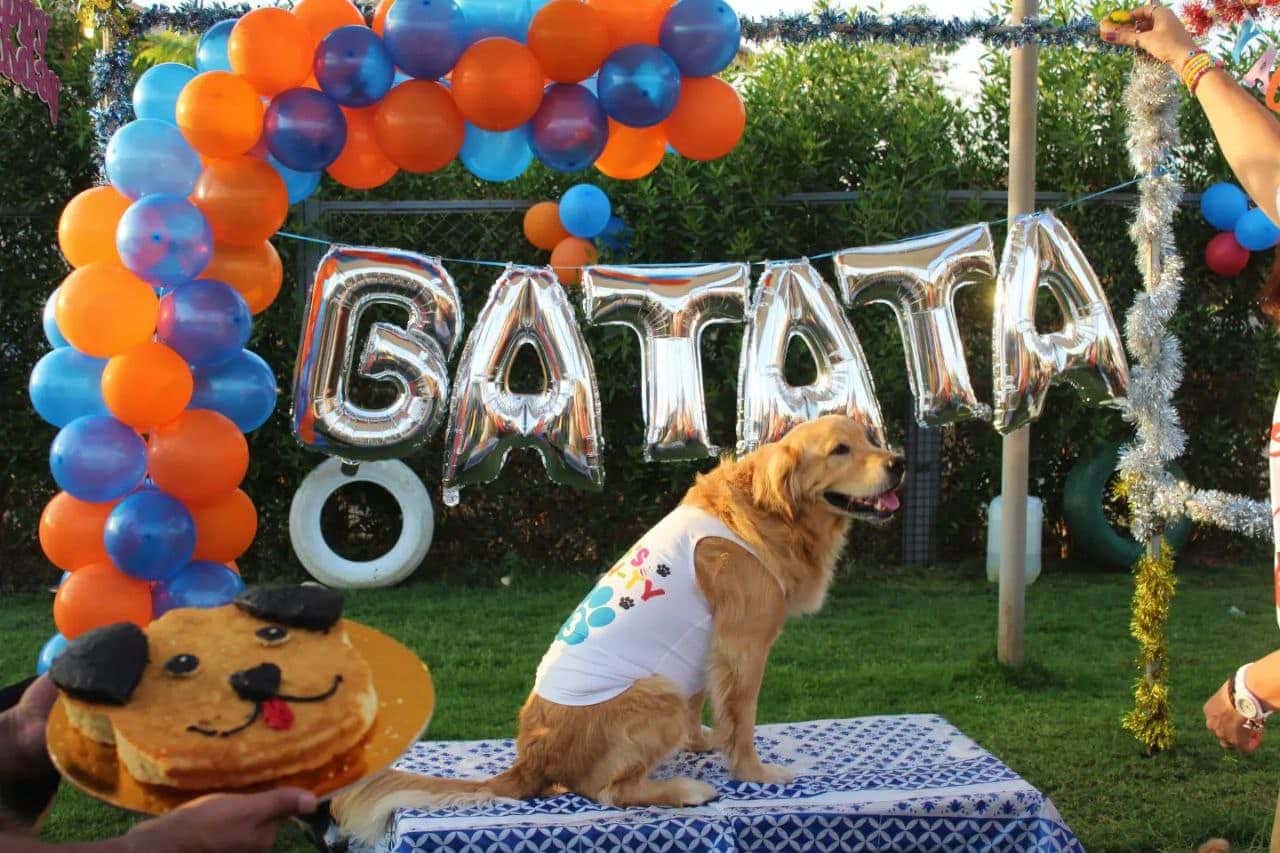 Batata's Dog Birthday Party